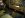 IMG-20120501-01167.jpg