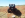 Flexing 5.png