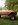 brownie on 38s.jpg