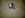 IMG-20120523-01371.jpg