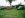 26486091-505-undefined.jpg