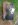 ImageUploadedByTapatalk1338932859.392230.jpg