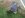 ImageUploadedByTapatalk1338932961.560977.jpg