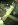 ImageUploadedByTapatalk1339338953.104113.jpg ImageUploadedByTapatalk1339338953.104113.jpg