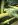 ImageUploadedByTapatalk1339338975.563990.jpg ImageUploadedByTapatalk1339338975.563990.jpg