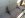 ImageUploadedByTapatalk1339471625.843912.jpg