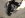 ImageUploadedByTapatalk1339983316.746418.jpg