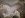 IMG-20120621-01574.jpg