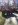 ImageUploadedByTapatalk1340555570.895651.jpg