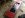 ImageUploadedByTapatalk1341001834.337082.jpg