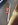 ImageUploadedByTapatalk HD1341802651.734145.jpg