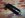 000_0001.JPG