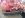 firetruck 013.jpg