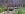 Copy of Big bear30.JPG