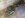 ImageUploadedByTapatalk1344734937.090985.jpg