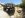 Boys trip 9.jpg