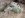 ImageUploadedByTapatalk1345291753.921858.jpg