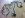 Wiring Harness.jpg