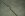 truggy1.jpg