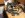 ImageUploadedByTapatalk1347684504.301034.jpg