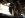 ImageUploadedByTapatalk1349627252.679885.jpg