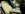 ImageUploadedByTapatalk1349733636.891946.jpg