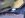 bodybushing1.jpg