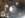 ImageUploadedByTapatalk1351296955.368781.jpg