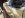 ImageUploadedByTapatalk1353620682.175451.jpg