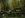 3F83pb3Hc5Id5Kf5M4cbq1a40d8cf6ed412b5.jpg