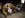 ImageUploadedByTapatalk1354561476.455488.jpg