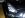 uploadfromtaptalk1355117319459.jpg