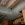 photo.jpeg