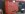 100MEDIA_IMAG0083.jpg
