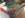 ImageUploadedByTapatalk1356808834.901180.jpg