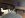 ImageUploadedByTapatalk1357602657.363349.jpg