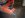 K5 Build up 013.jpg