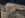 IMG_7700.JPG IMG_7700.JPG