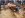mudfest 056.jpg