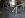cage-in-garage-1.JPG