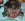 ck5partsexchange_003_size1.jpg
