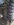 uploadfromtaptalk1358647194337.jpg