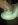 ImageUploadedByTapatalk1361503379.012200.jpg