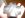 DSCN0739.JPG