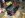 ImageUploadedByTapatalk1364531475.635306.jpg