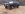 near sleeping elephant driver front.jpg near sleeping elephant driver front.jpg