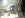 ImageUploadedByTapatalk1365831985.489413.jpg