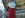 snorkel detail.jpg