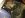 ImageUploadedByTapatalk1366847982.987132.jpg