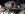 2013-01-23_21-55-18_424.jpg